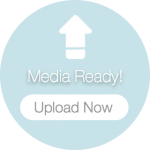 upload media button 407@2x